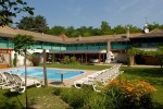 rosinante1