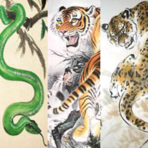 Ötelemes Csikung Tanfolyam - 2026. január 24-25